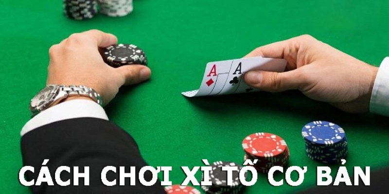 Hướng dẫn chơi Xì Tố giúp hội viên thắng đậm mỗi ngày Hướng dẫn chơi Xì Tố cho tân binh trải nghiệm cá cược mượt mà hơn